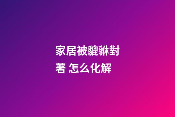 家居被貔貅對著 怎么化解
